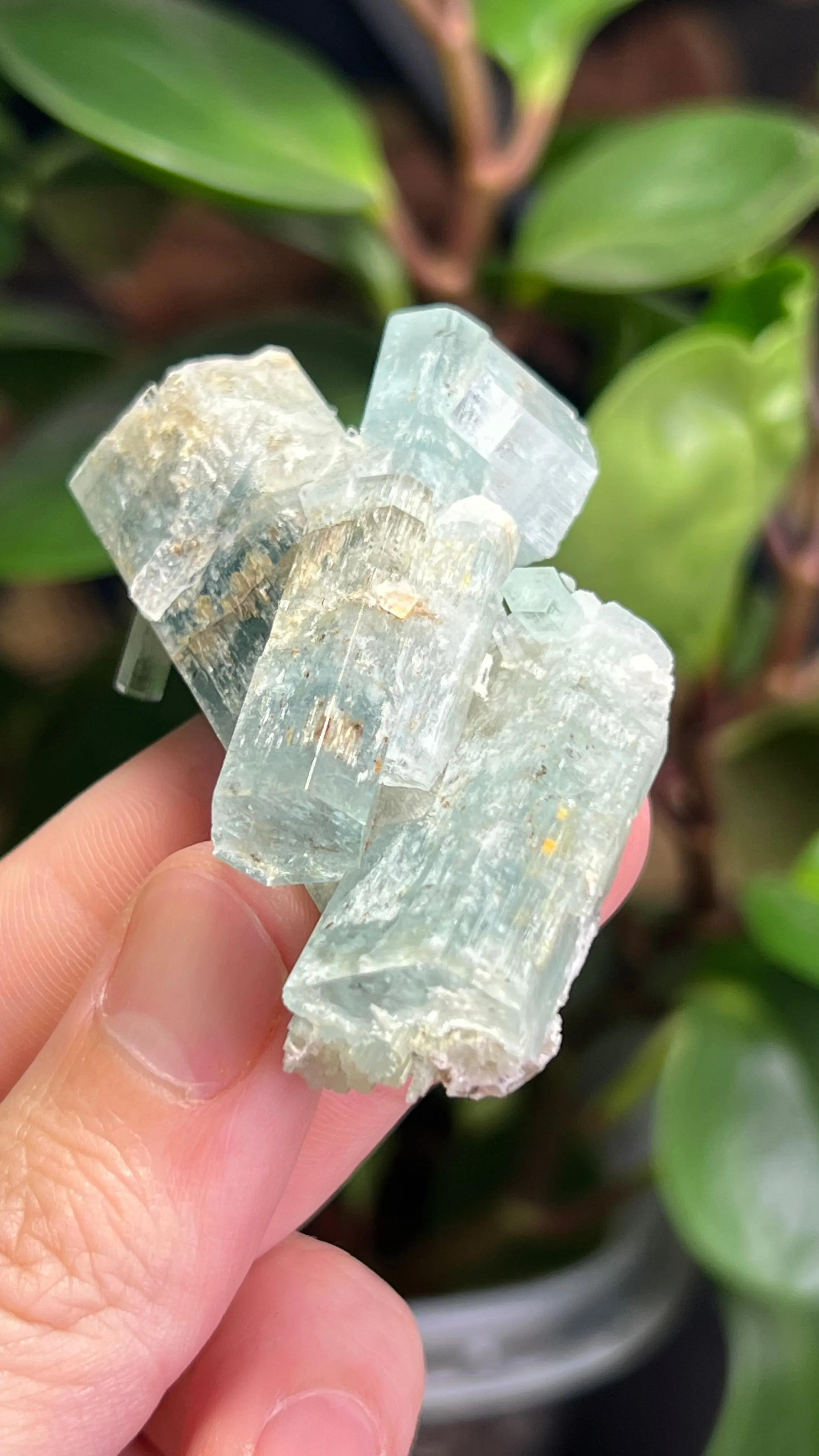 Aquamarine Specimen from Erongo Mountain, Erongo Region, Namibia