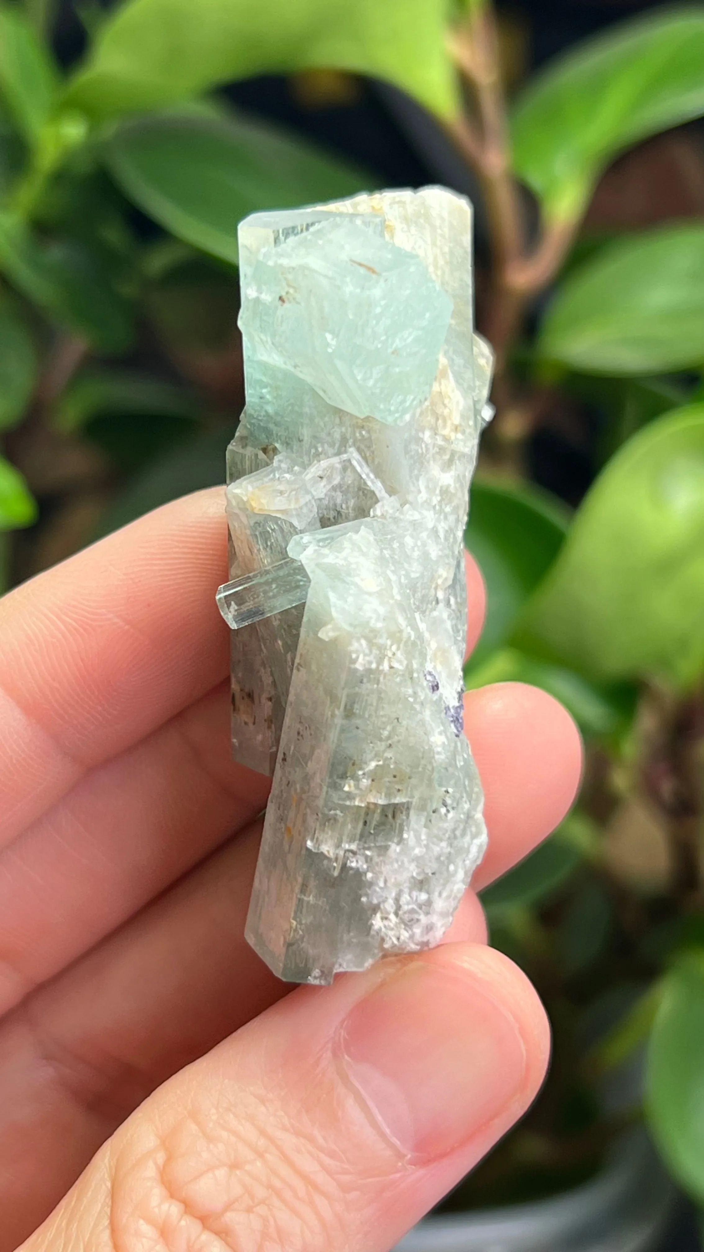 Aquamarine Specimen from Erongo Mountain, Erongo Region, Namibia
