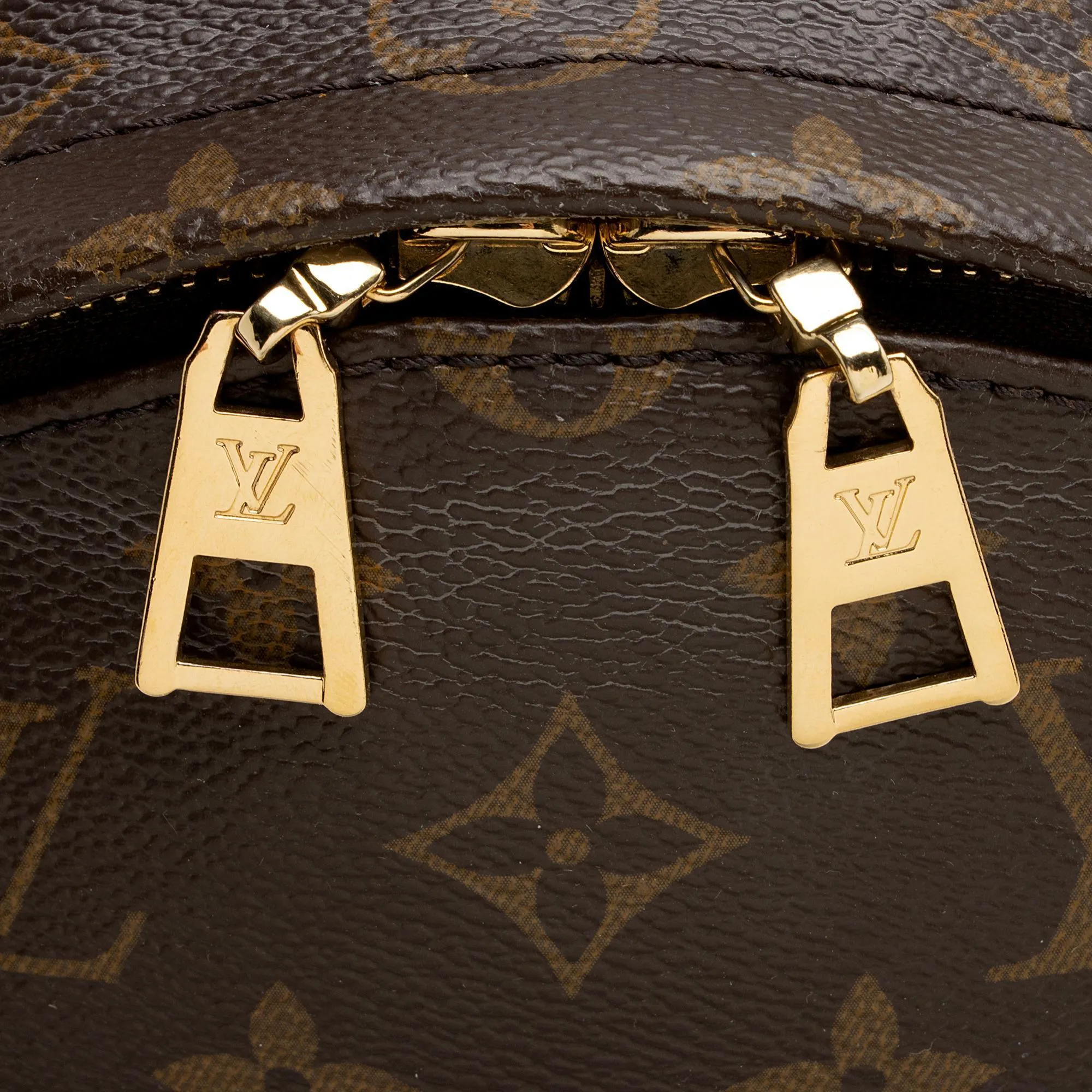 Louis Vuitton Monogram Canvas Palm Springs PM Backpack (SHF-nXxV5M)