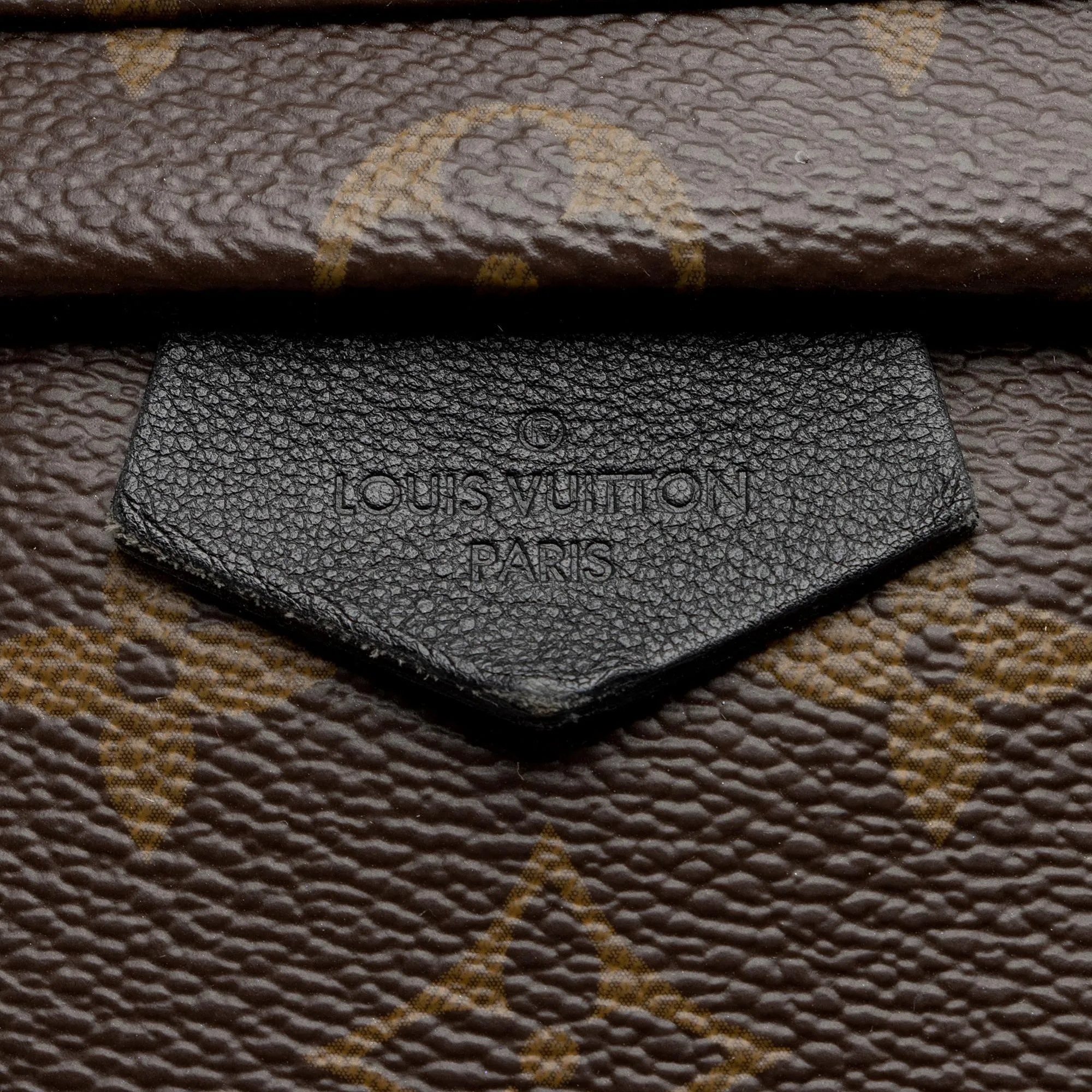 Louis Vuitton Monogram Canvas Palm Springs PM Backpack (SHF-nXxV5M)